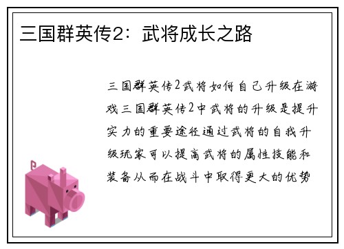 三国群英传2：武将成长之路